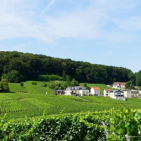 B&B En Champagne Cramant Zewnętrze zdjęcie